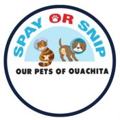 494616883_122098536200865051_3934244607583582130_n